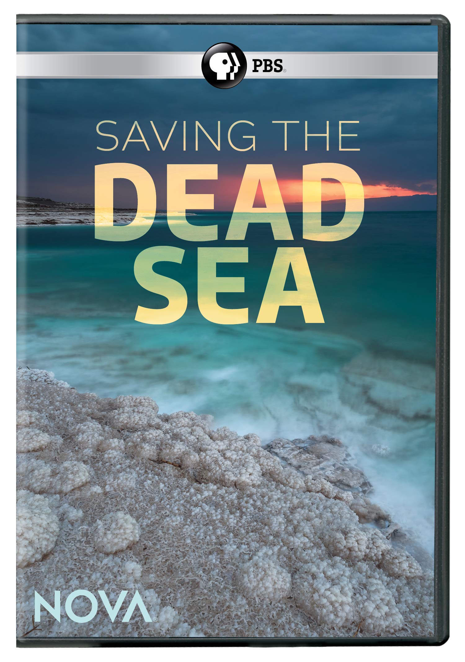 Nova: Saving the Dead Sea (DVD)