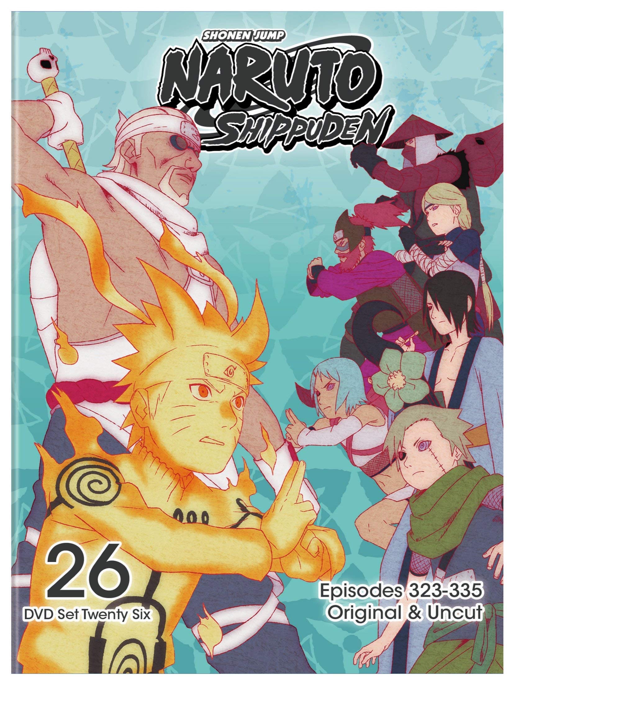 Naruto Shippuden Box Set 26 (DVD)