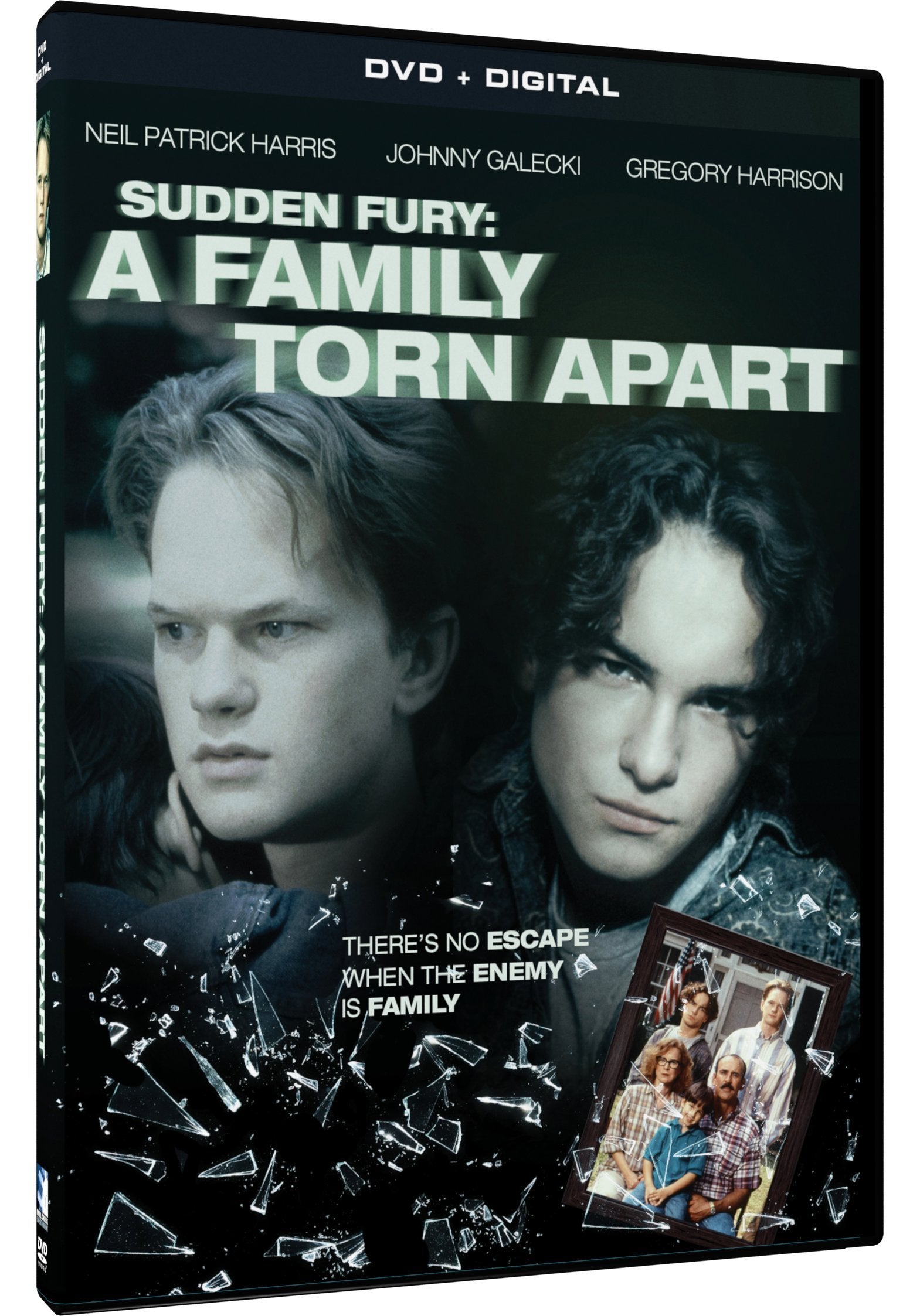 Sudden Fury: Family Torn Apart (DVD)