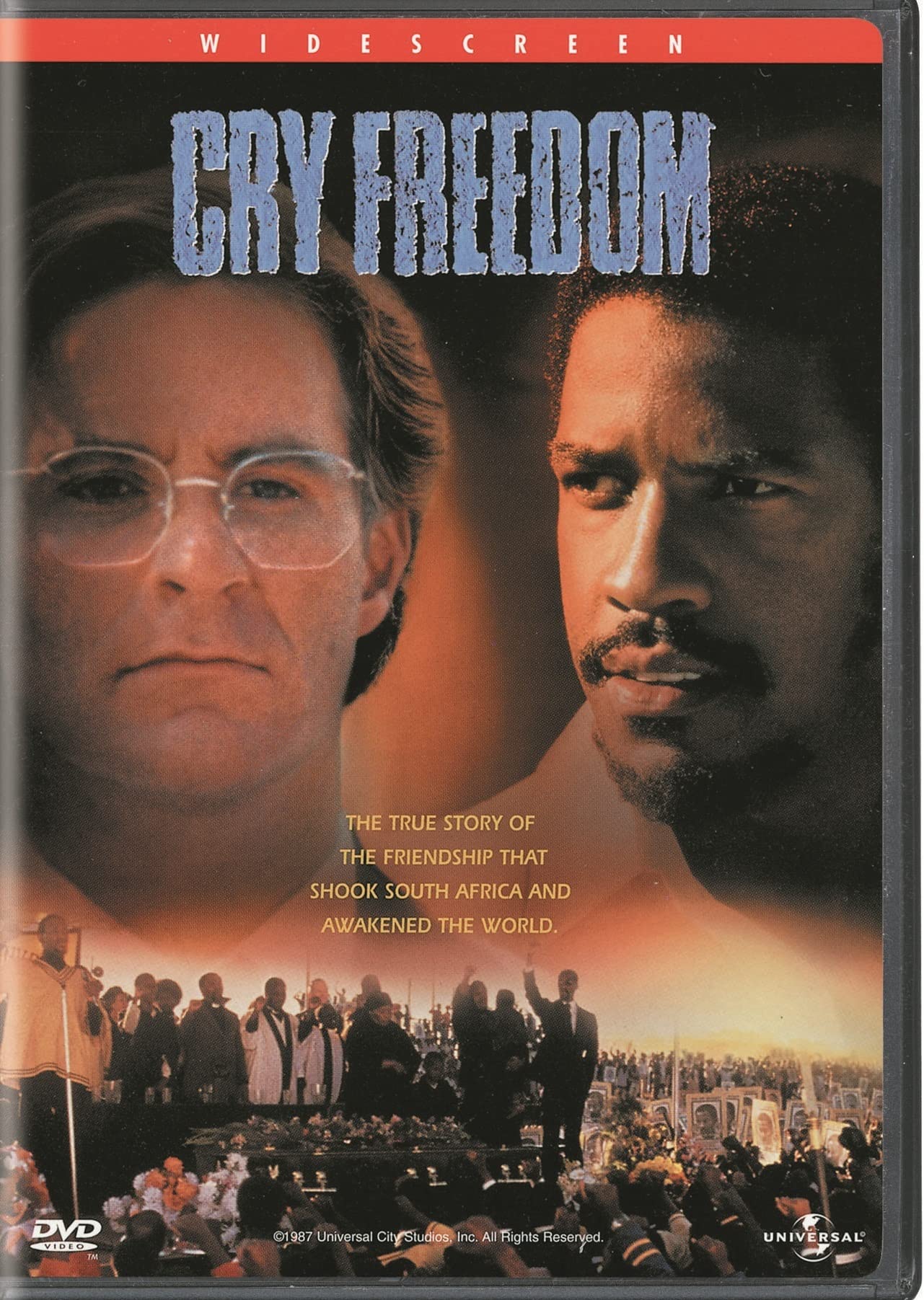 Cry Freedom (DVD)