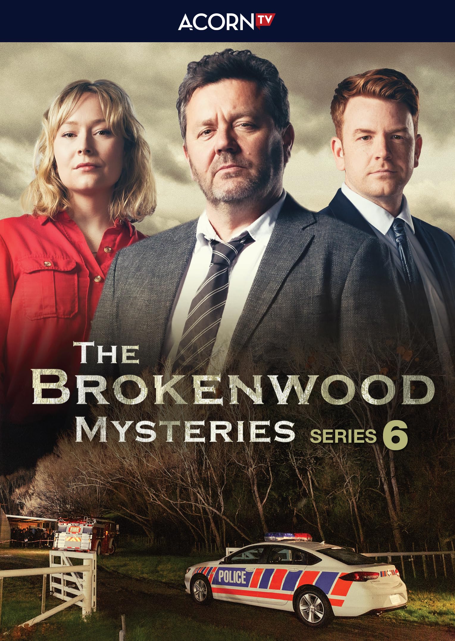 Brokenwood Mysteries: Season 6 (DVD)