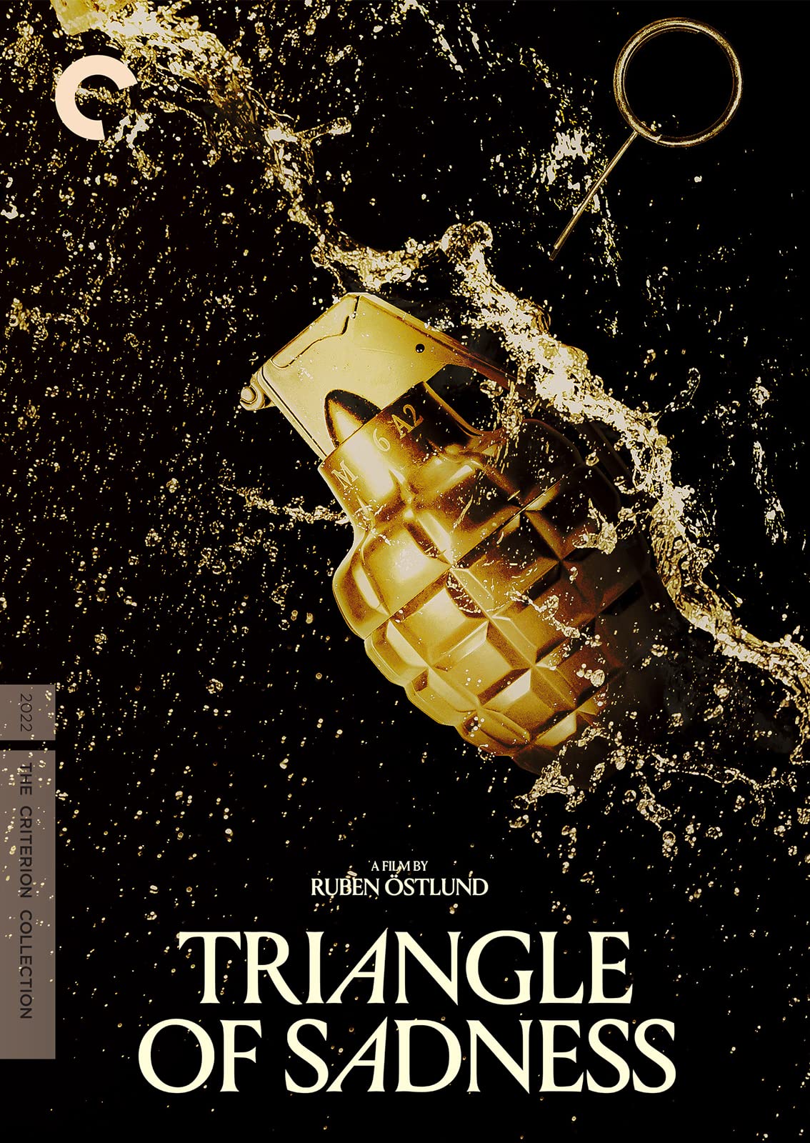 Triangle of Sadness (DVD)