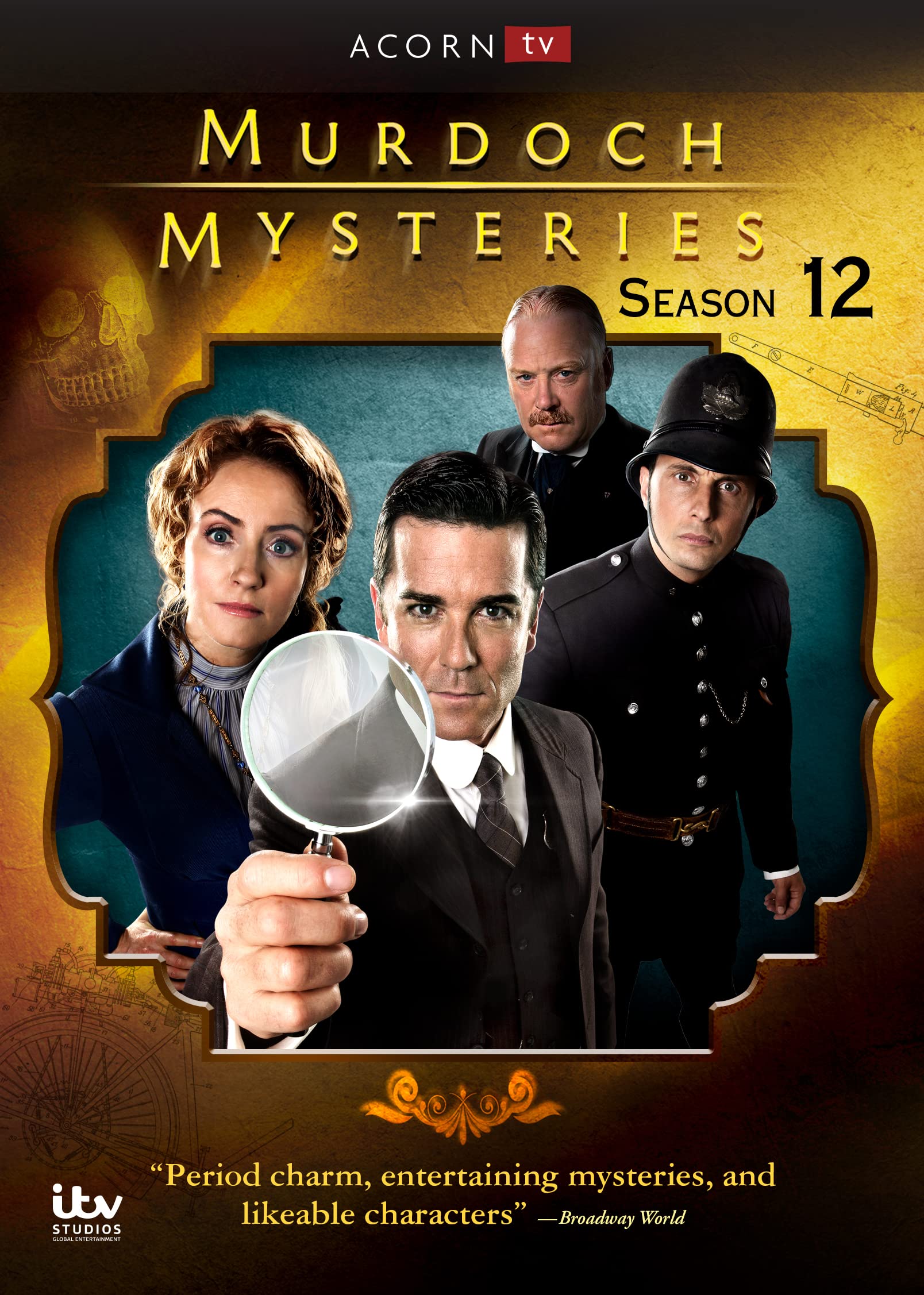 Murdoch Mysteries: Season 12 (DVD)