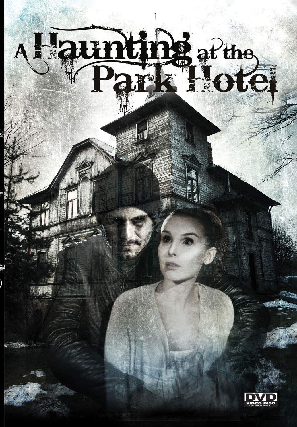 A Haunting at the Park Hotel (DVD)