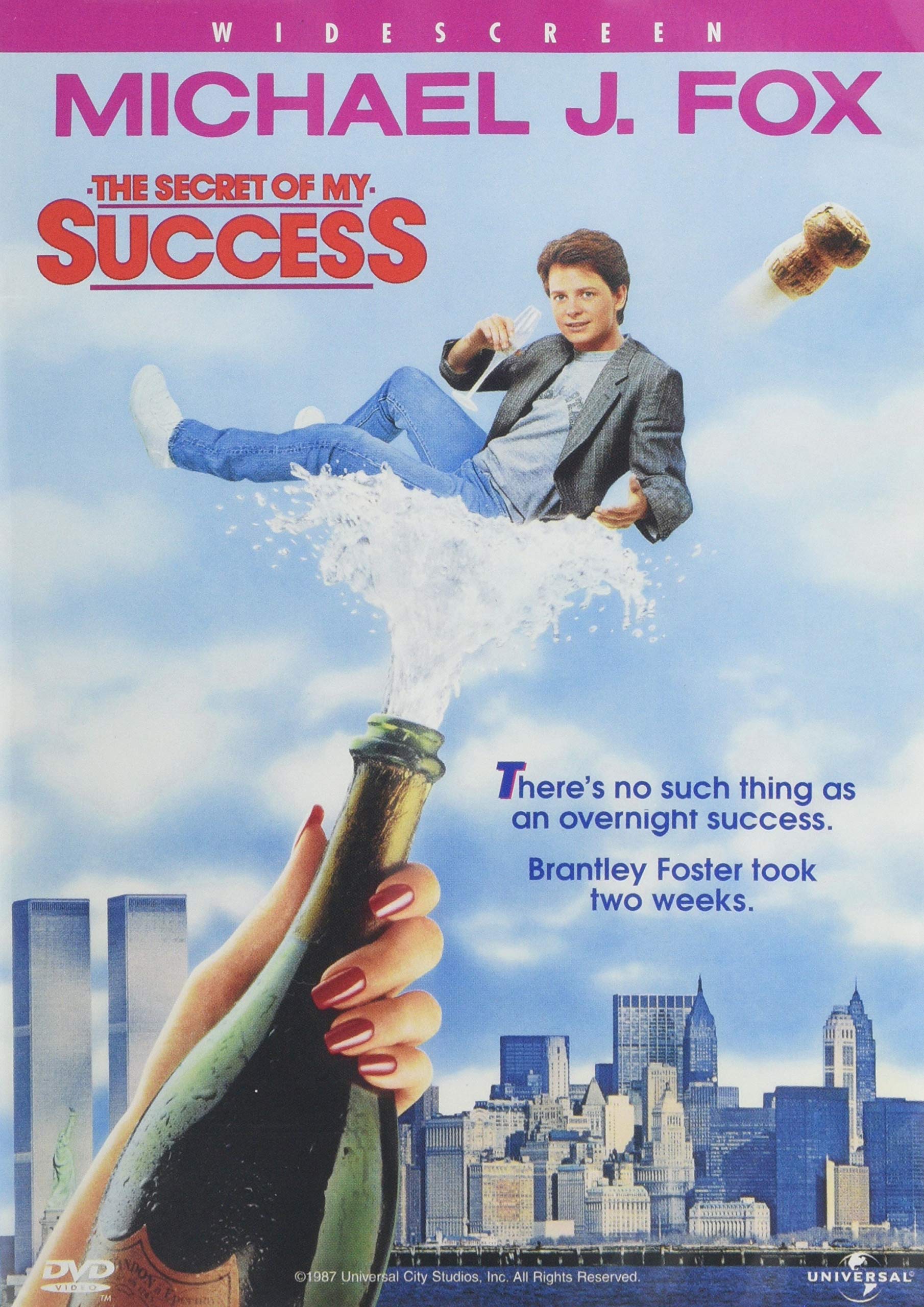 The Secret of My Success (DVD)