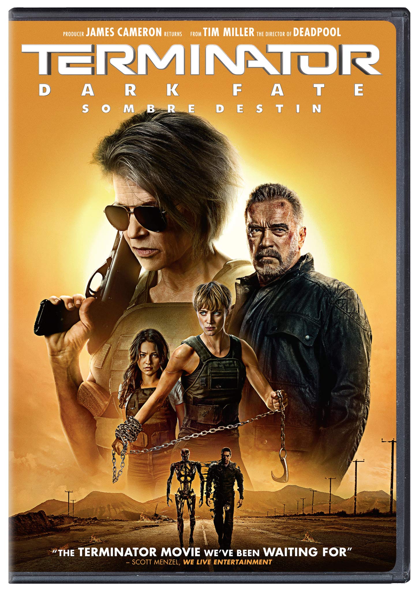 Terminator: Dark Fate (DVD)