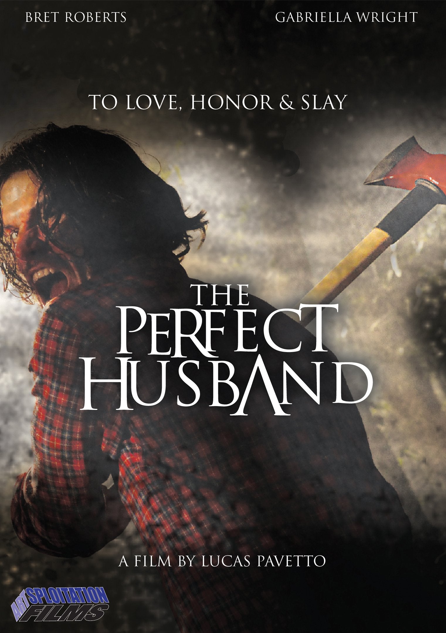 The Perfect Husband (DVD)