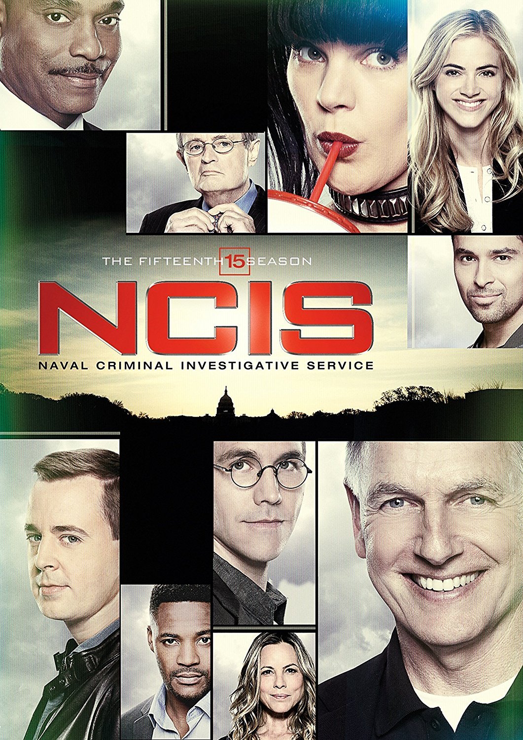 Ncis: Season 15 (DVD)