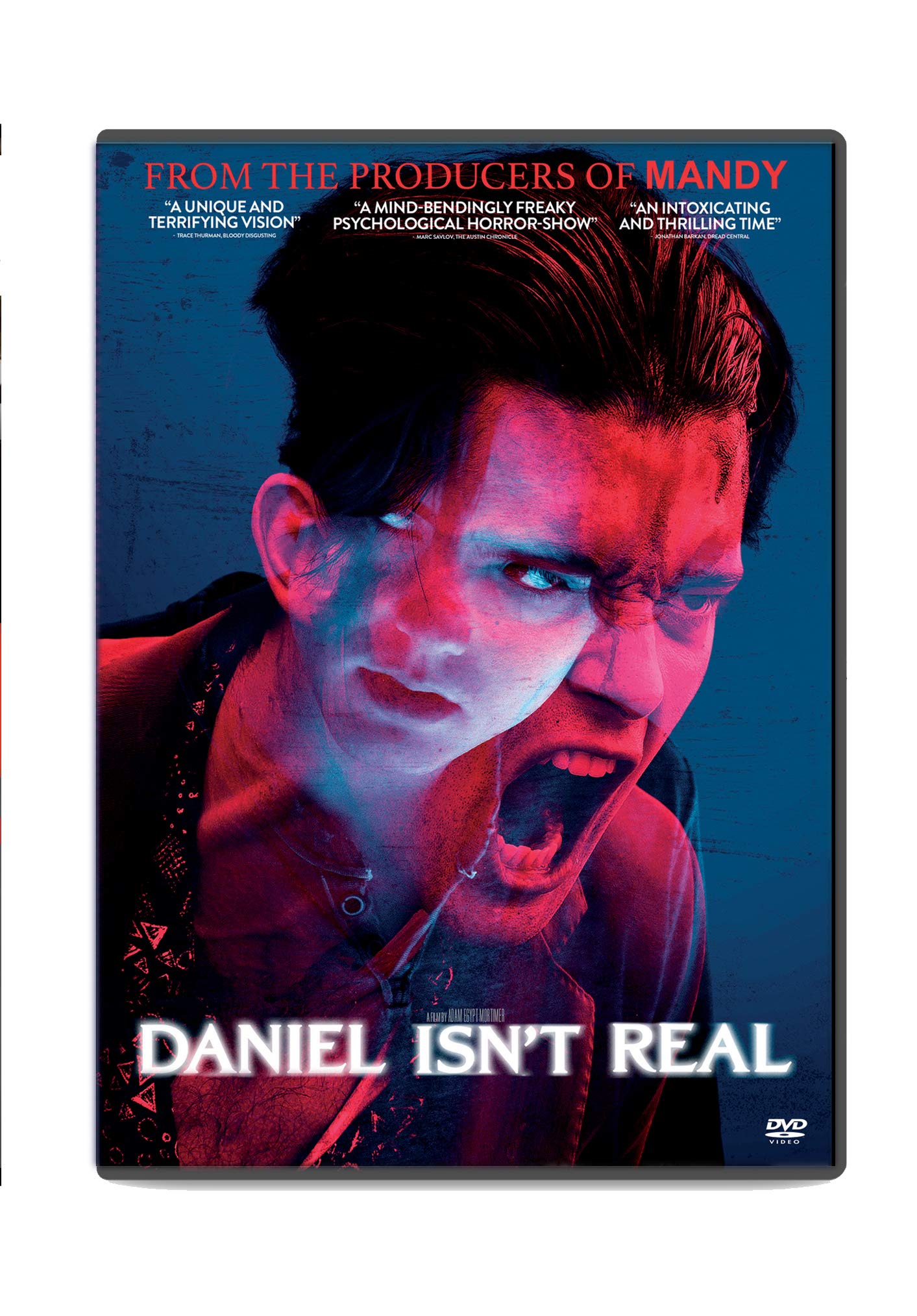 Daniel Isnt Real (DVD)