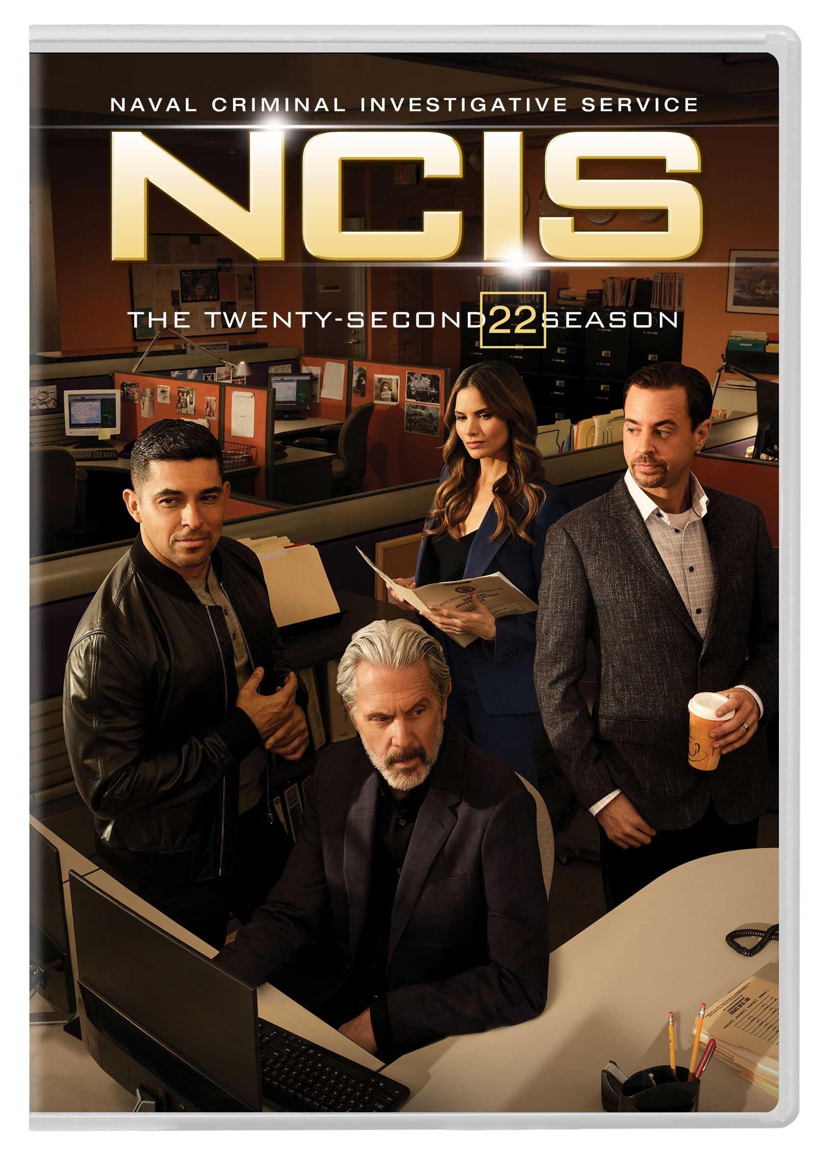 Ncis: Season22 (DVD)
