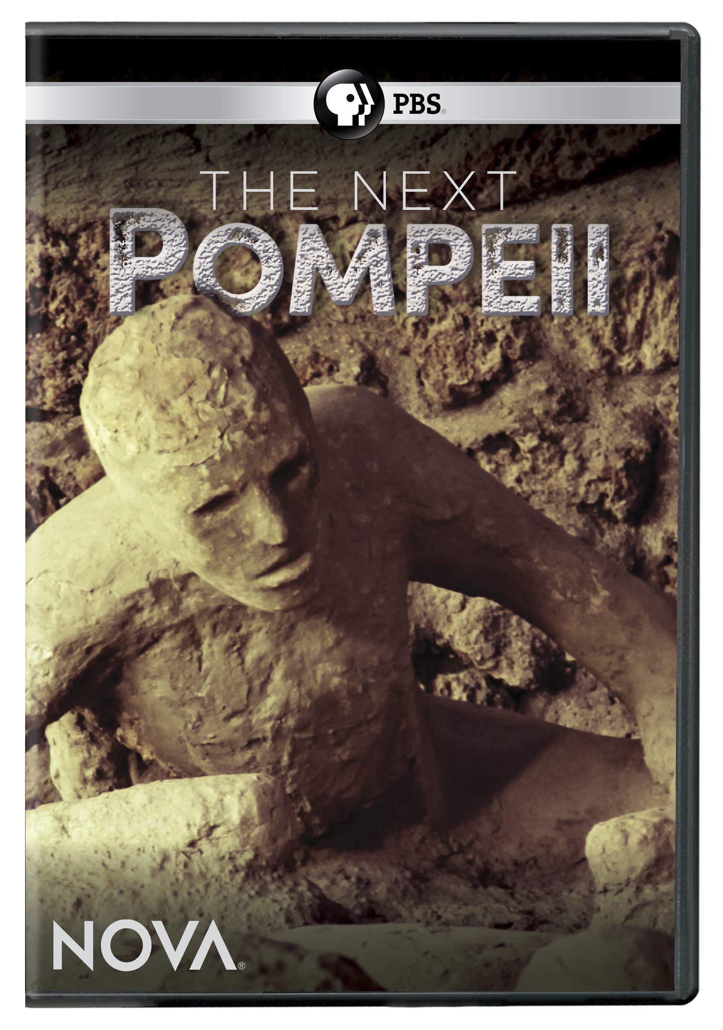 Nova: The Next Pompeii (DVD)