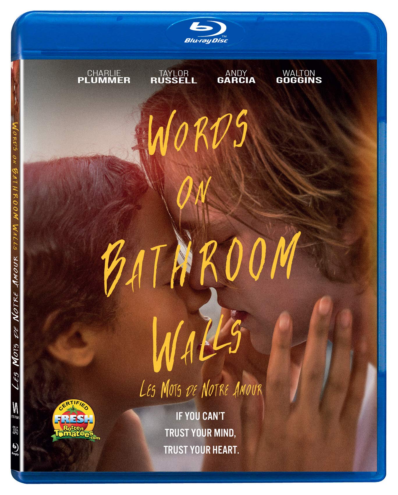Words on Bathroom Walls (DVD)