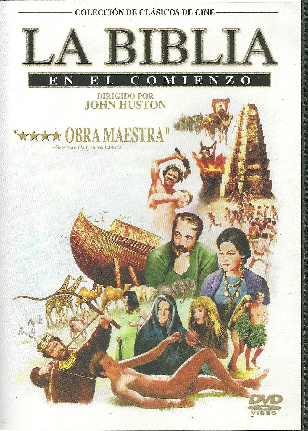 Bible (DVD)