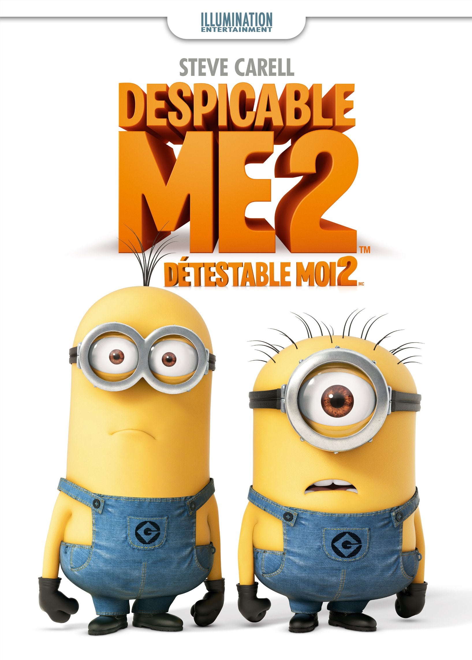 Despicable Me 2 (DVD)