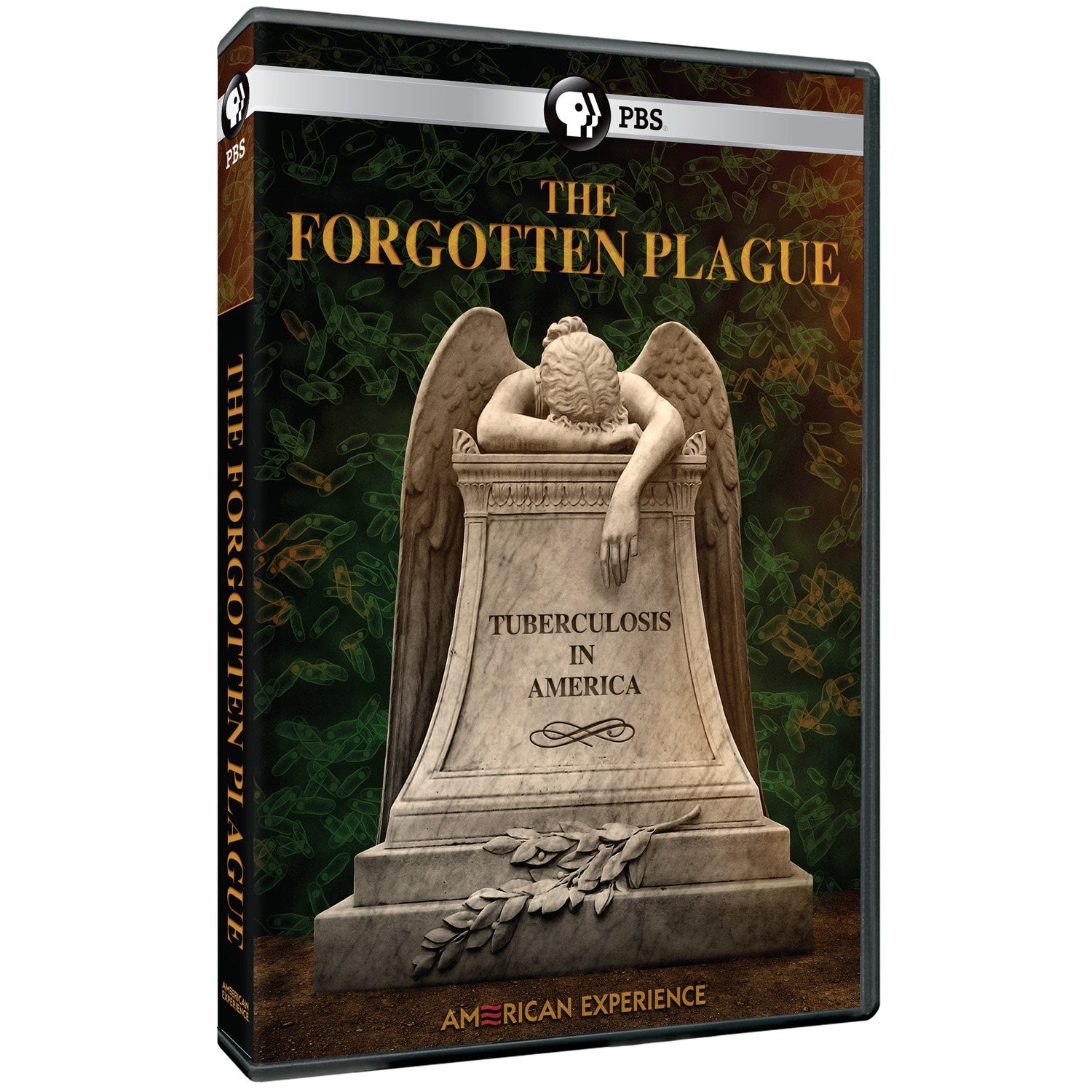American Experience: The Forgotten Plague (DVD)