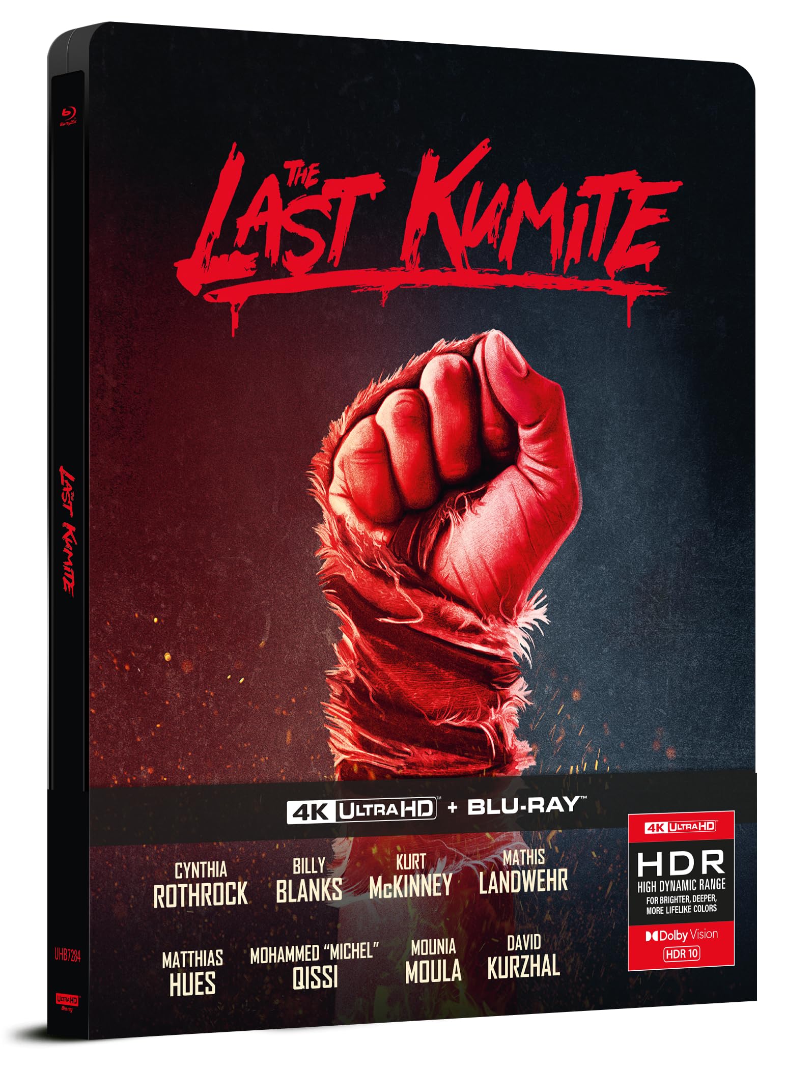 Last Kumite (4K Ultra HD)