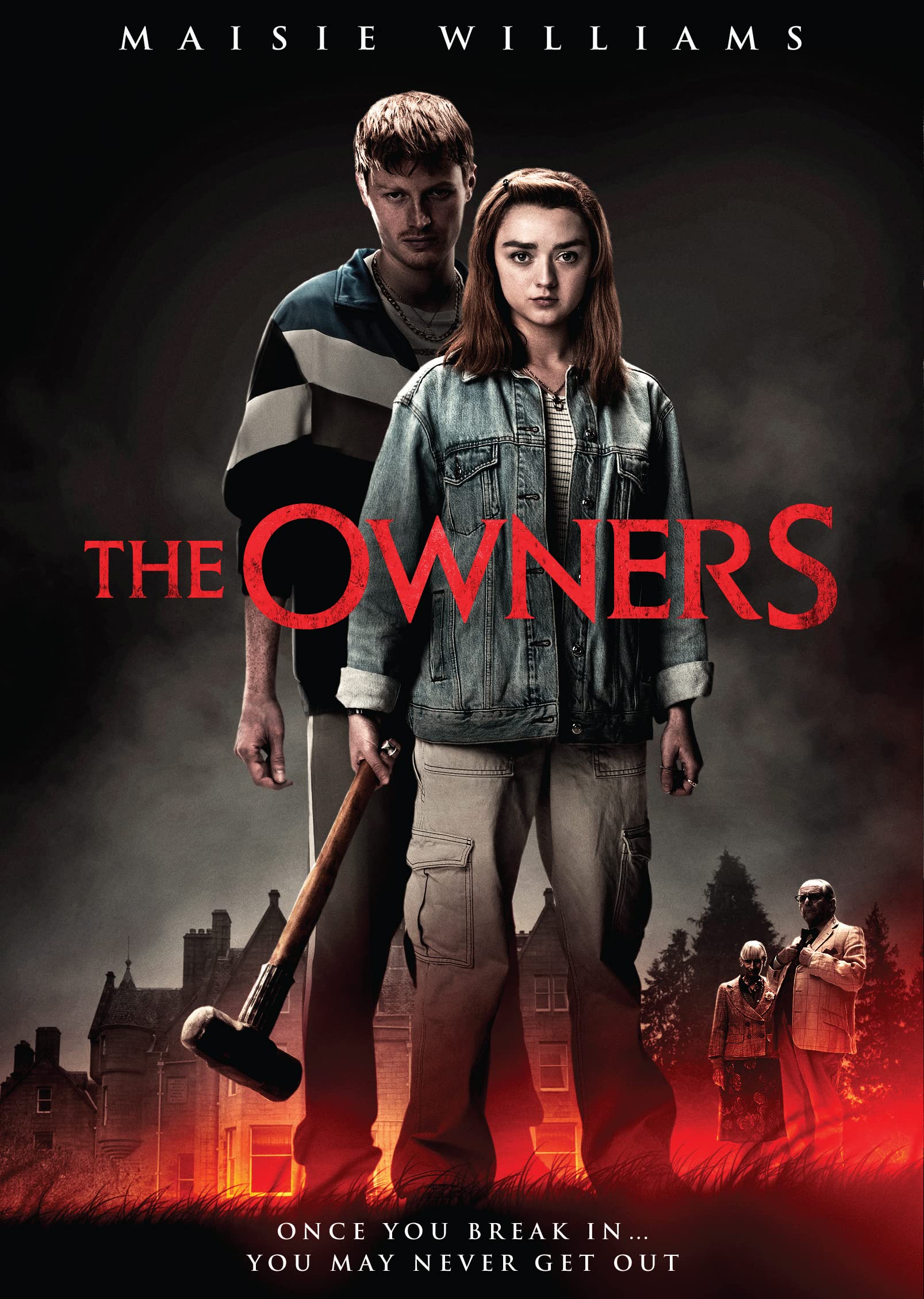 The Owners (DVD)