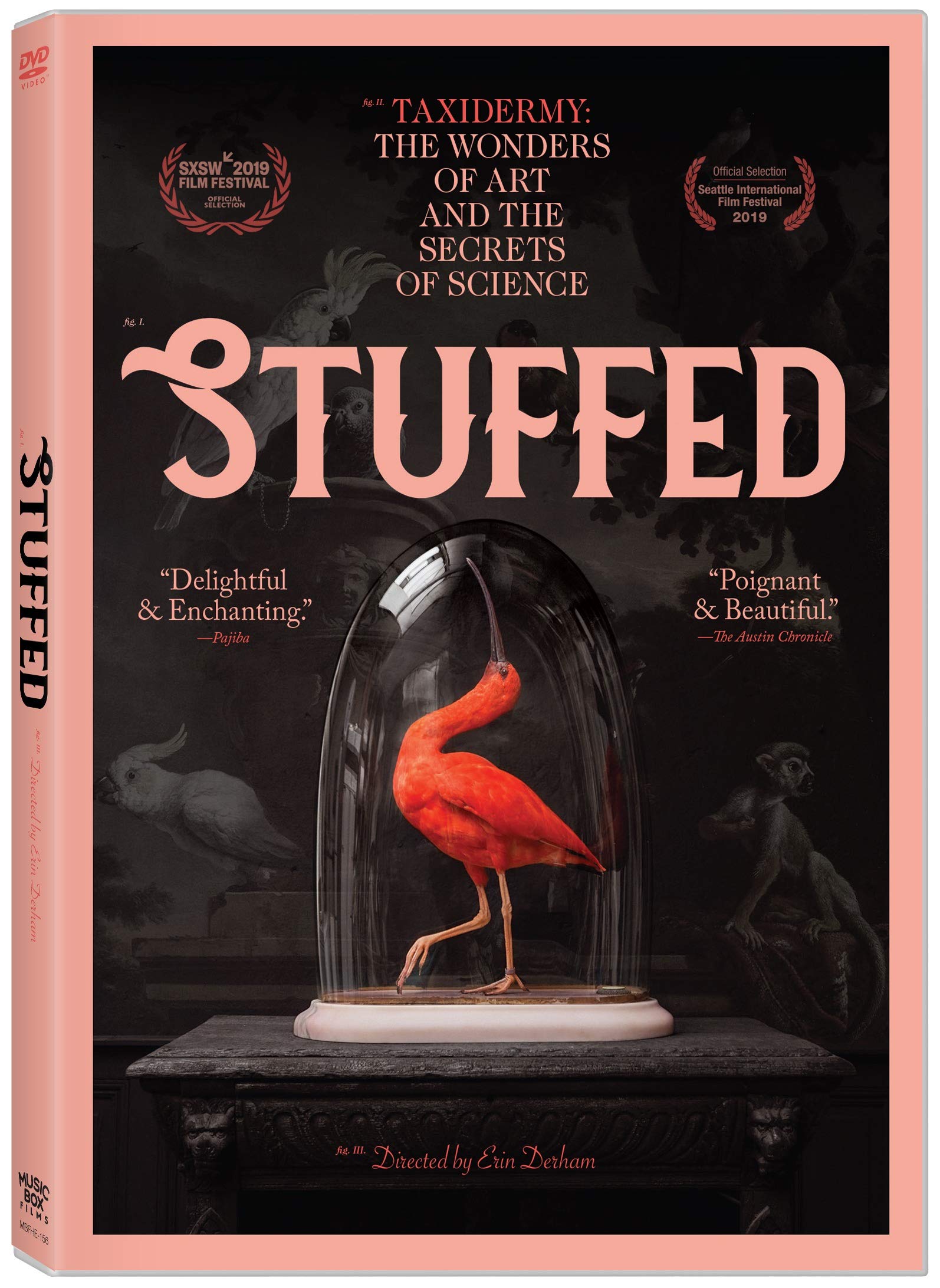 Stuffed (DVD)