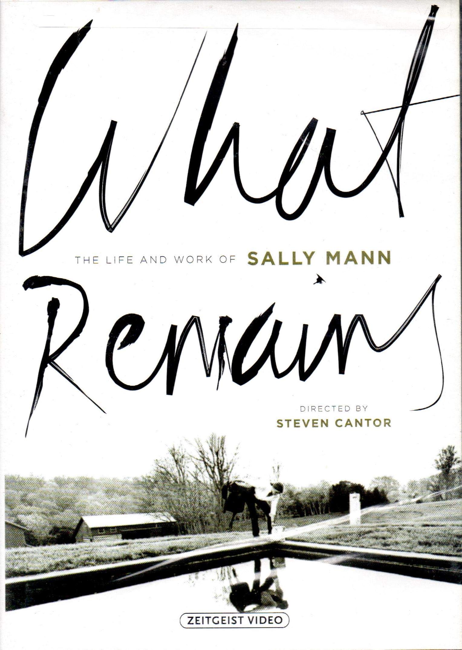 What Remains: The Life and Work of Sally Mann (DVD)