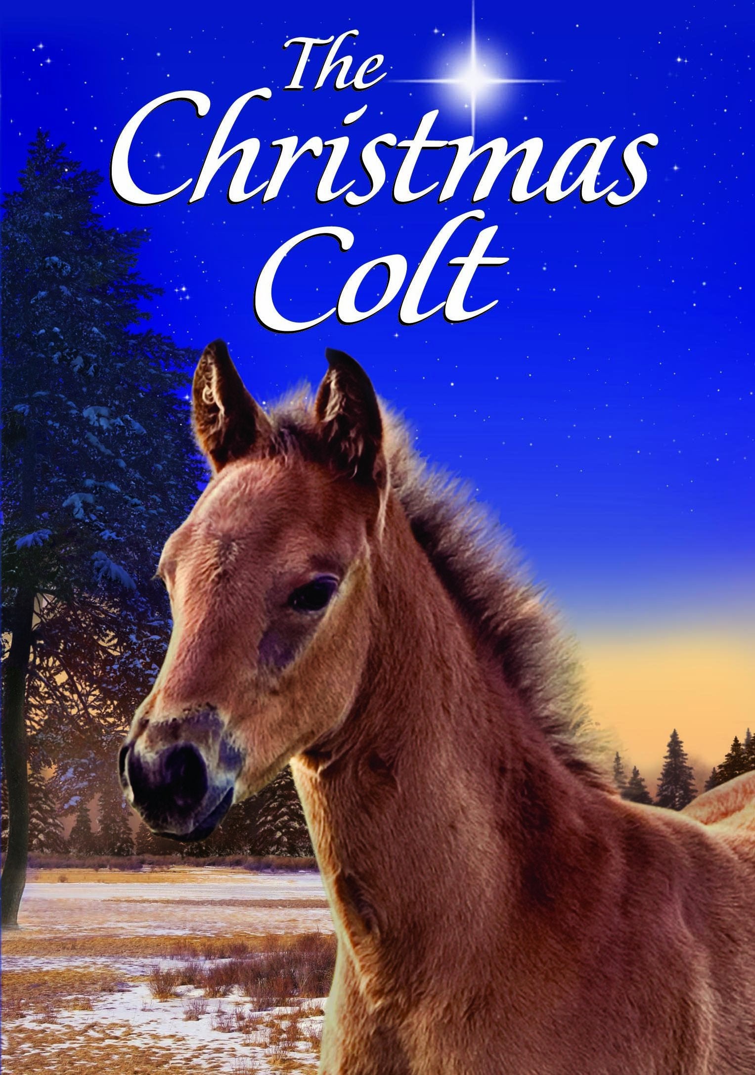 The Christmas Colt (DVD)