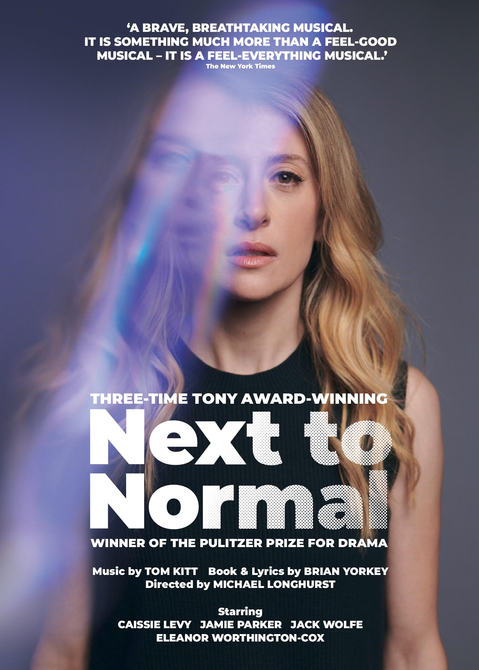 Next To Normal (DVD)