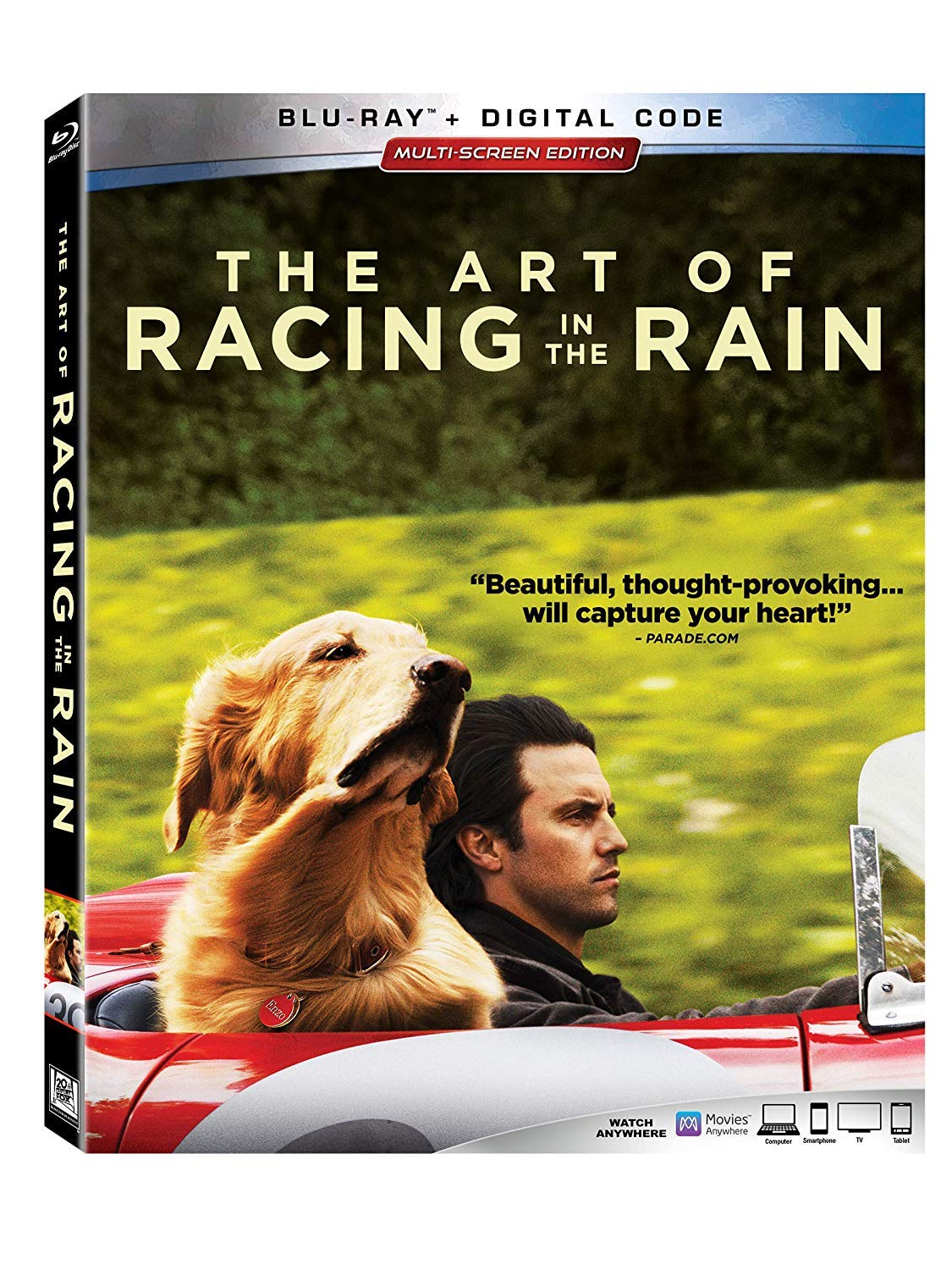 Art of Racing in the Rain (Blu-ray)