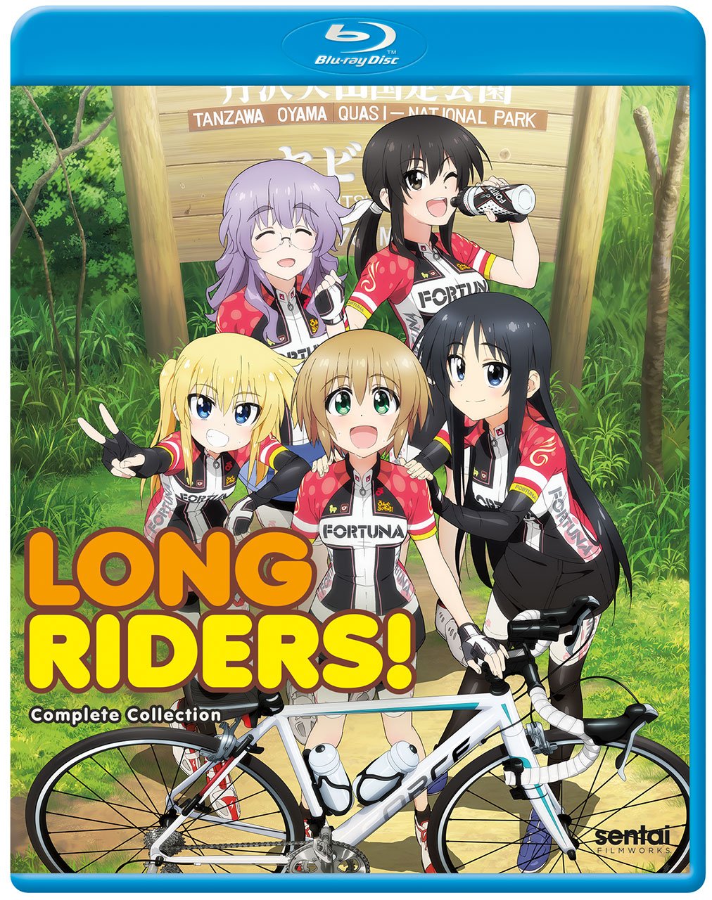 Long Riders (Blu-ray)