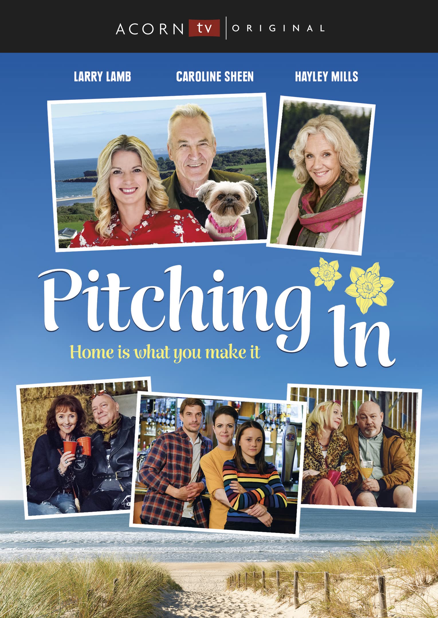 Pitching in: Season 1 (DVD)