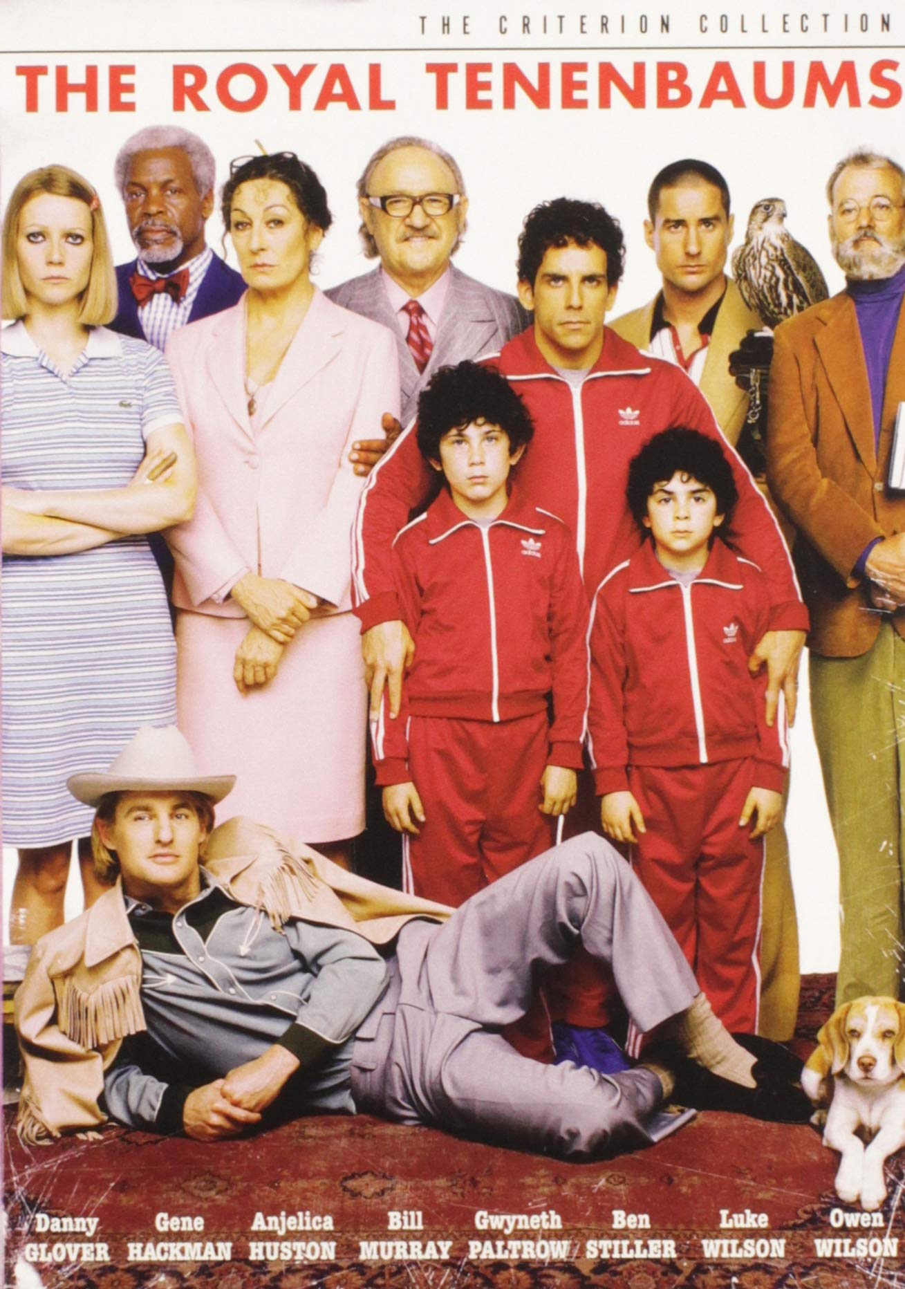 Royal Tenenbaums (DVD)