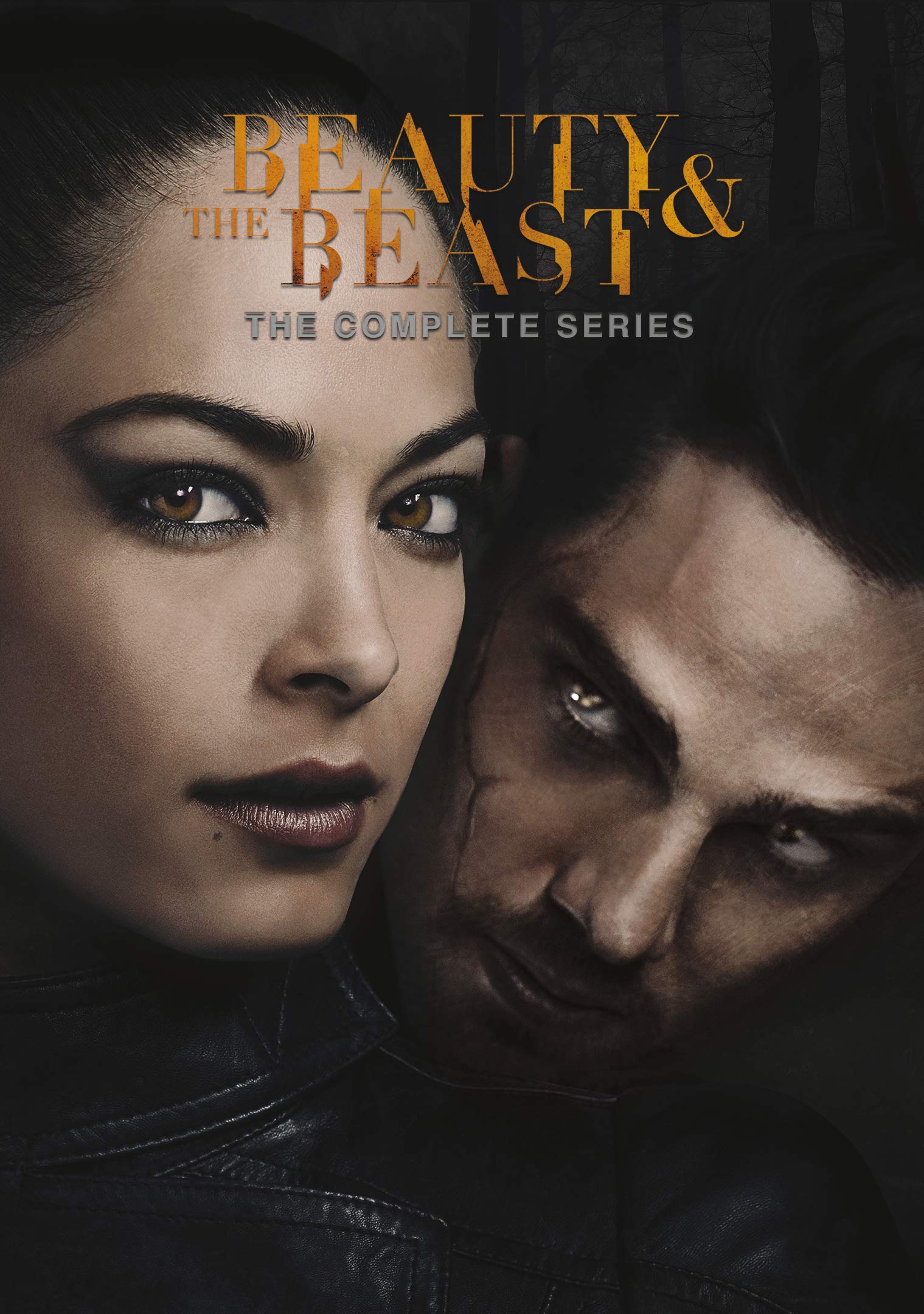 Beauty and the Beast (2012): Complete Series (DVD)