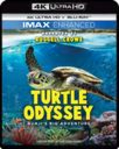 Turtle Odyssey (4K Ultra HD)