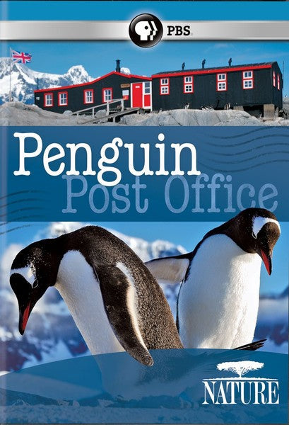 Nature: Penguin Post Office (DVD)