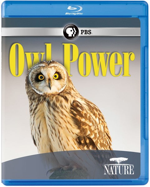 Nature: Owl Power (Blu-ray)