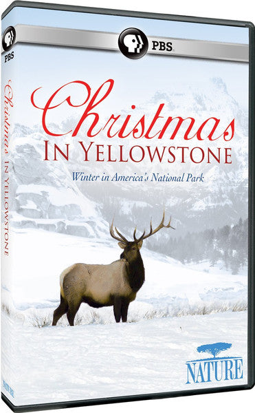 Nature: Christmas in Yellowstone (2015) (DVD)