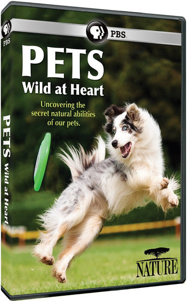 Nature: Pets: Wild at Heart (DVD)