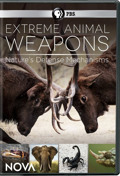Nova: Extreme Animal Weapons (DVD)