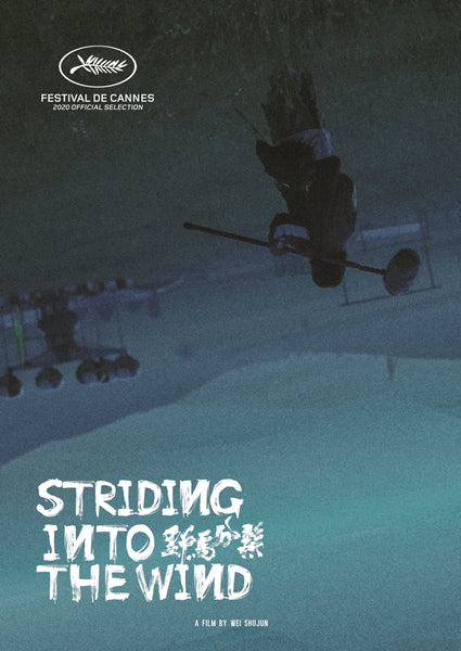 Striding Into the Wind (DVD)