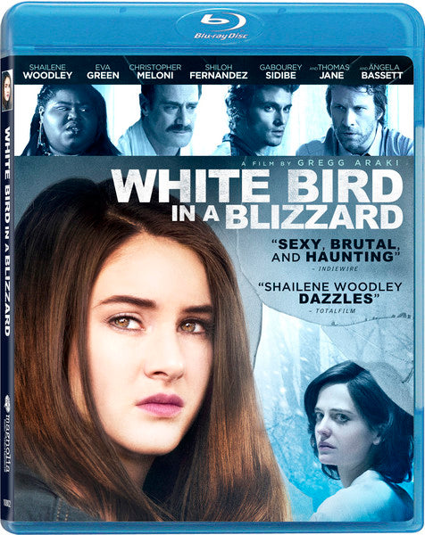 White Bird in A Blizzard (Blu-ray)