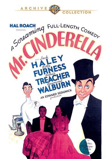 Mister Cinderella (DVD)