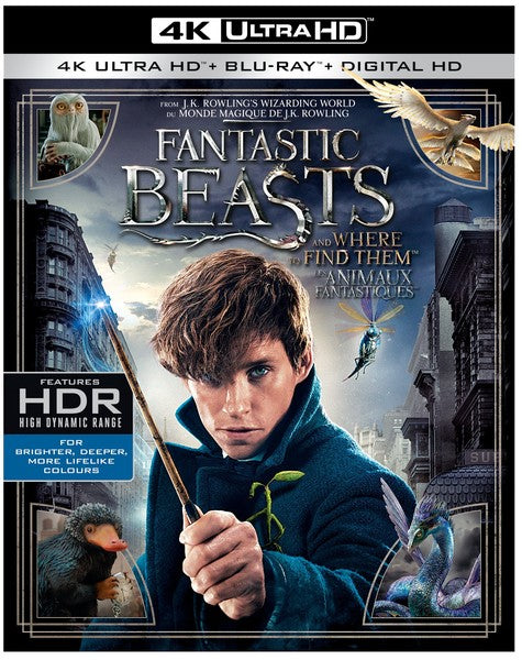 Fantastic Beasts and Where to Find Them (4K Ultra HD)