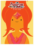 Adventure Time: The Final Seasons (DVD)