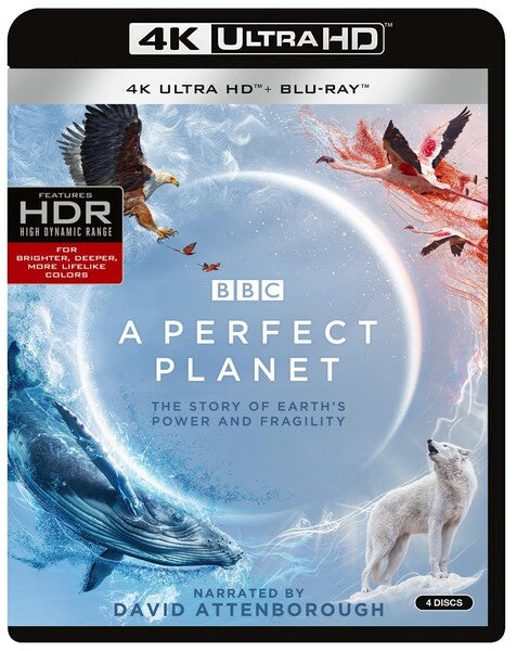 A Perfect Planet (4K Ultra HD)