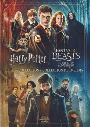 Wizarding World 10-Film Collection (20th Anniversary) (DVD)