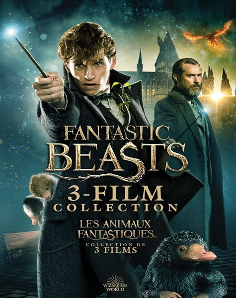 Fantastic Beasts 3-Film Collection (DVD)