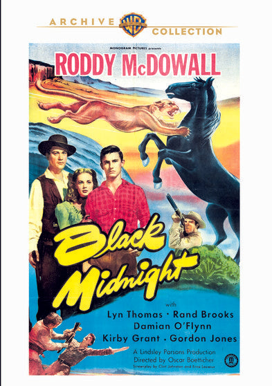 Black Midnight (DVD)
