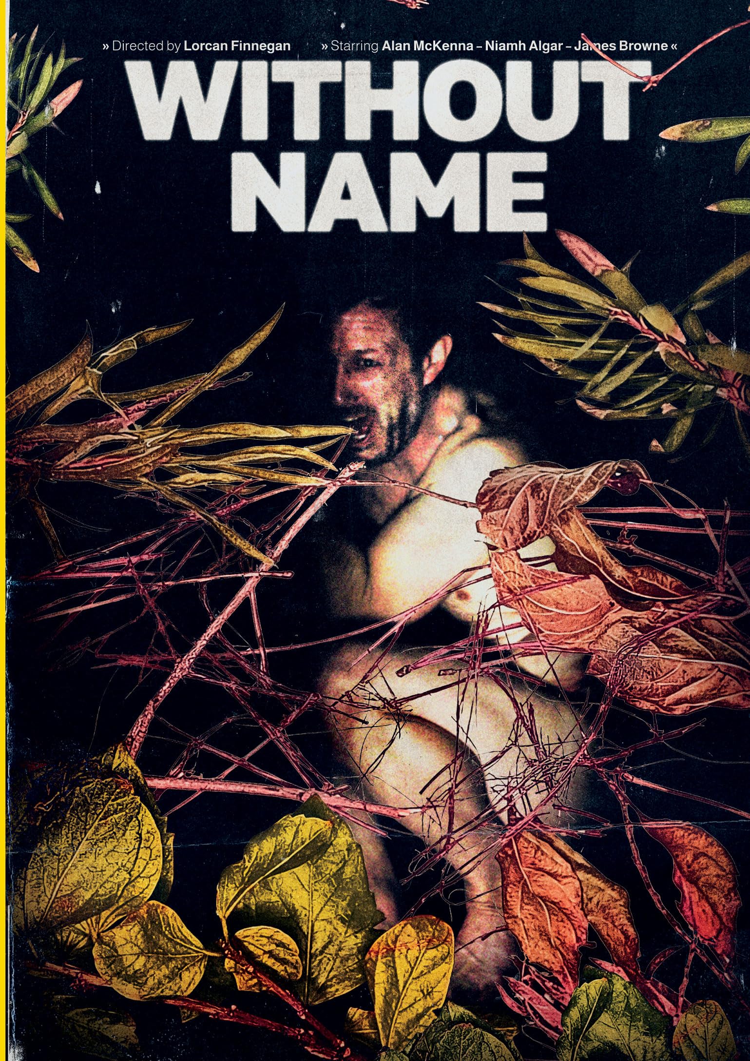 Without Name (Blu-ray)