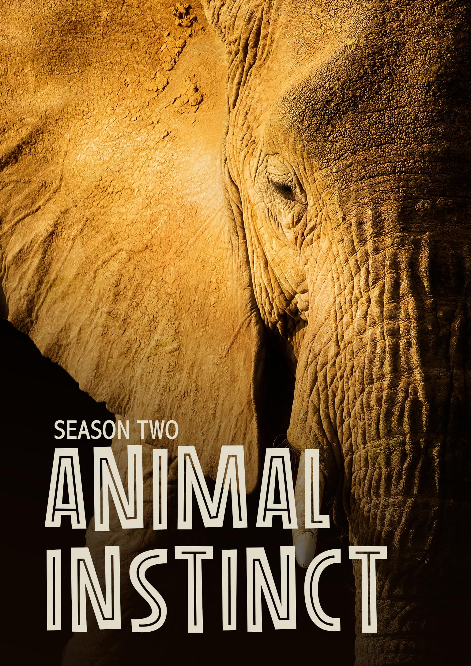 Animal Instinct: Season 2 (DVD)