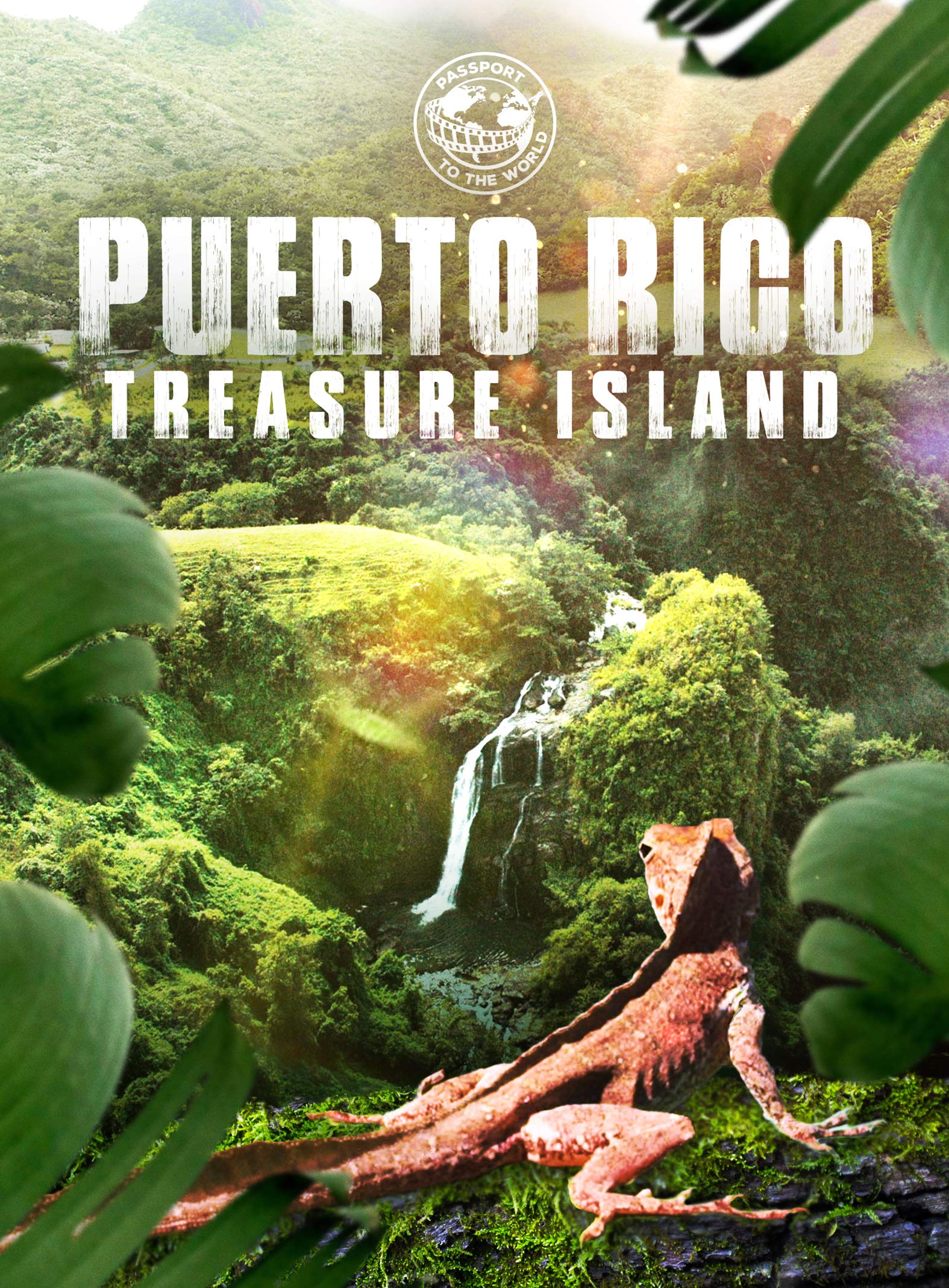 Passport to the World: Puertorico (DVD)