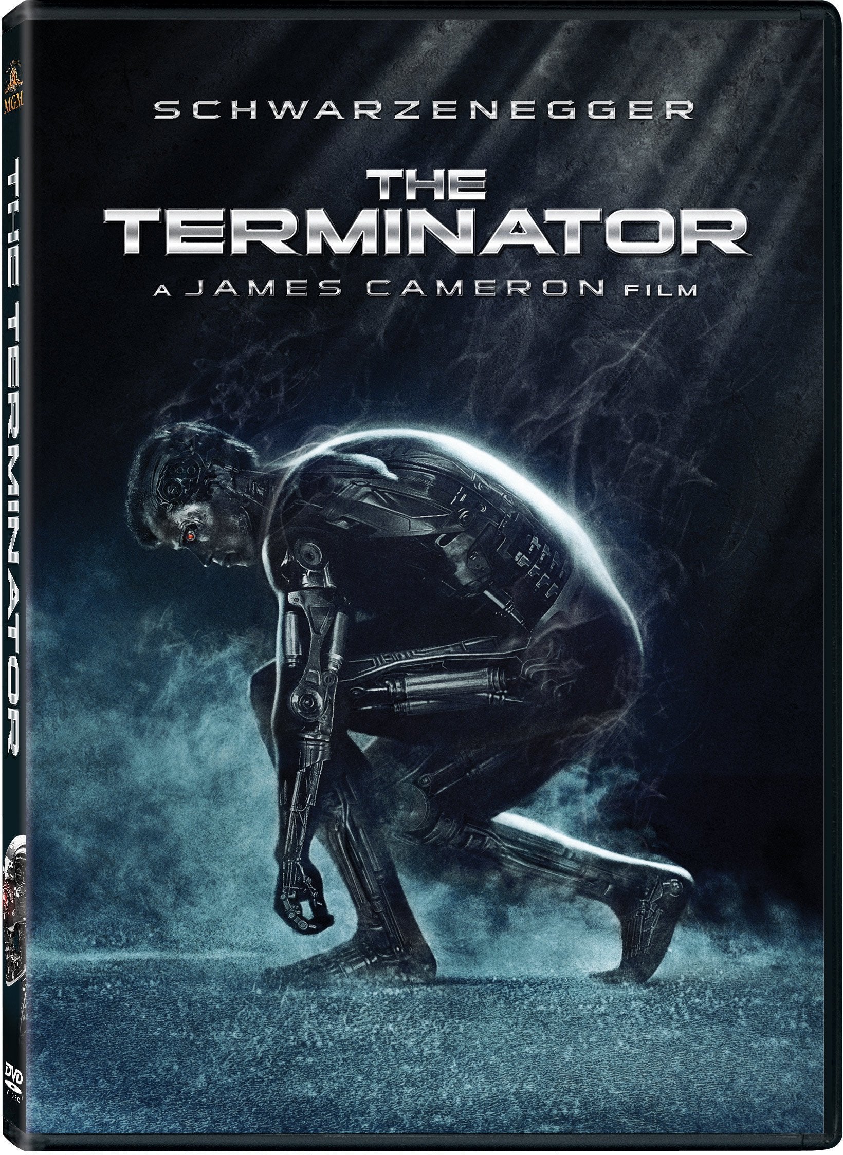 Terminator (DVD)