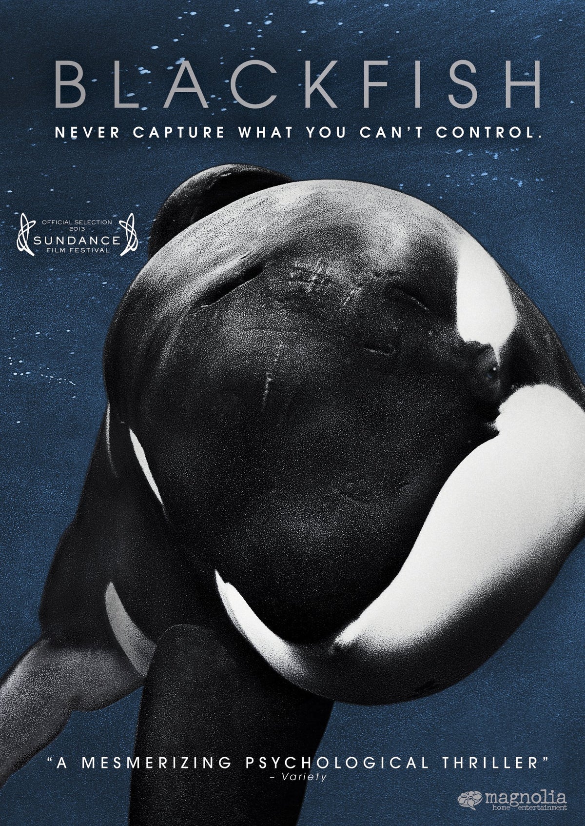 Blackfish (DVD)